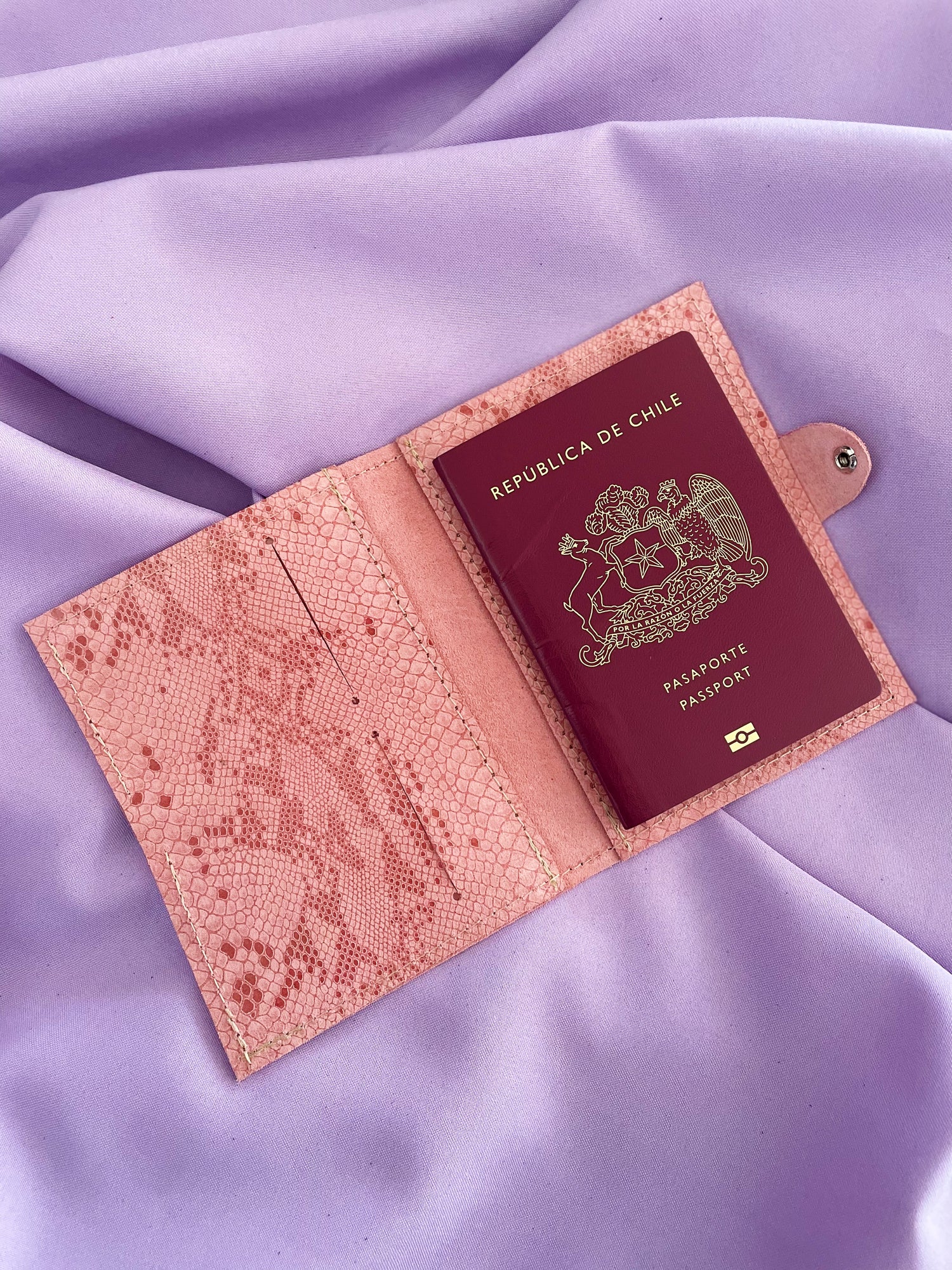 Portapasaporte